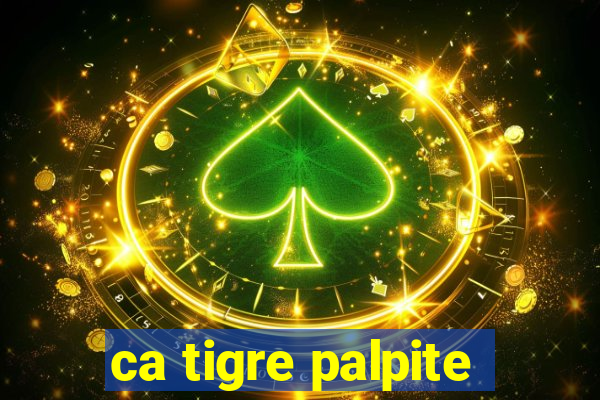 ca tigre palpite